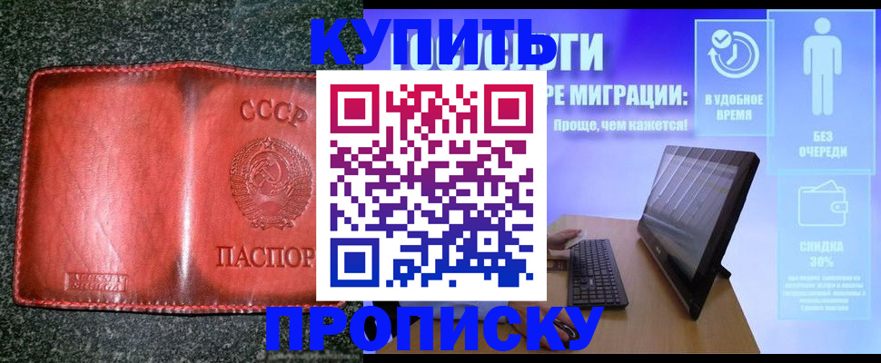 найти адрес прописки в Сертолово